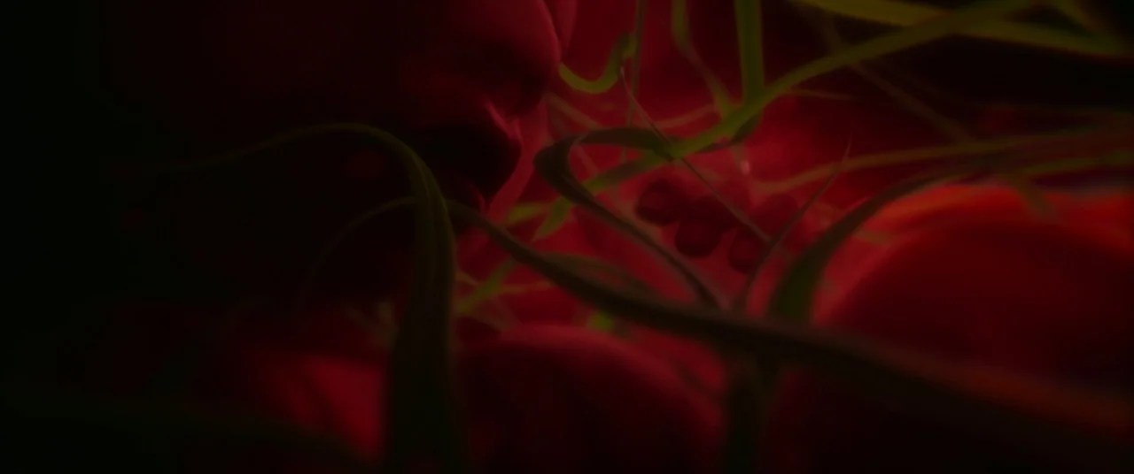 In The Tall Grass (2019) movie still: closeup — A dark environment is saturated with intense red lighting and tangled green plant-like structures. A…