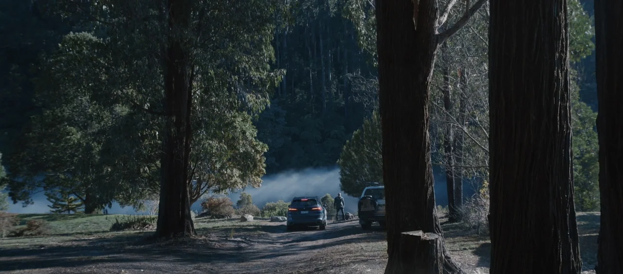 Force of Nature: The Dry 2 (2024) movie still: wide — A dirt track leads through a dense grove of tall eucalyptus trees in daylight. A lone man…