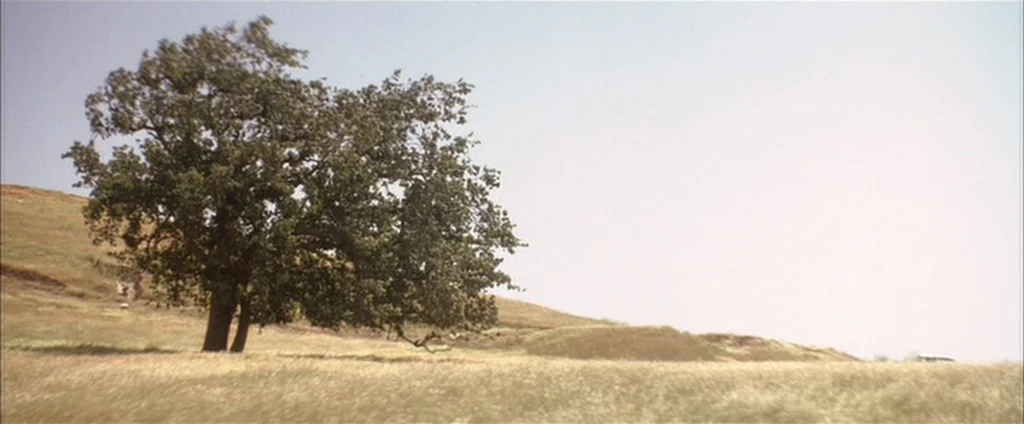 Down In The Valley (2005) movie still: wide — A solitary tree stands in a dry, grassy field against a pale sky. The gentle slope of the land is…