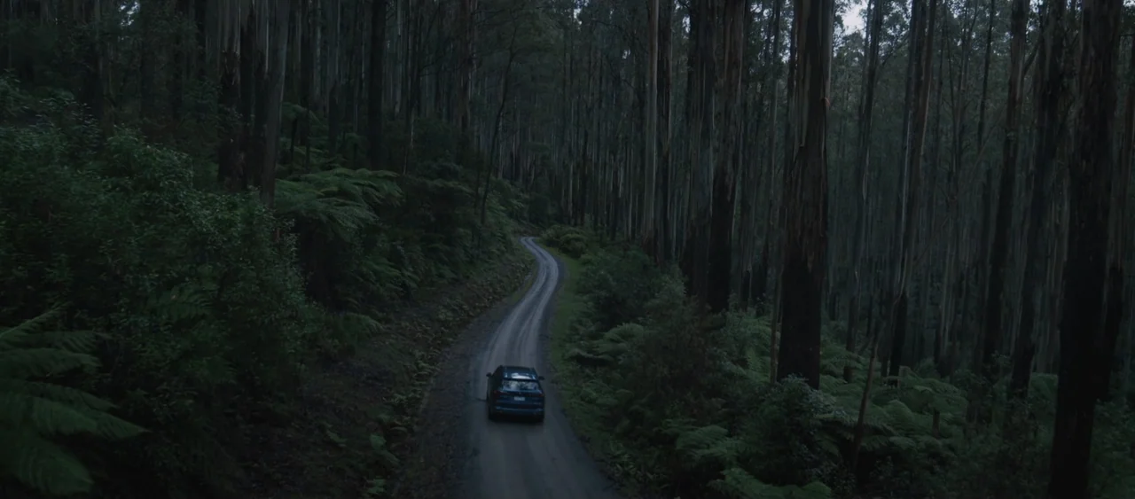 Force of Nature: The Dry 2 (2024) movie still: wide — A dark, narrow dirt road curves through a dense grove of tall eucalyptus trees. A dark car…