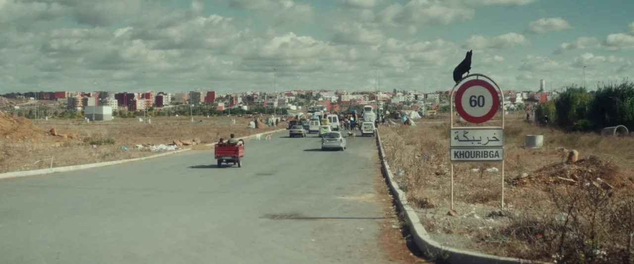Animalia (2023) movie still: wide — An asphalt road leads toward a sprawling urban center under a cloudy sky. A white road sign marks the city limit…