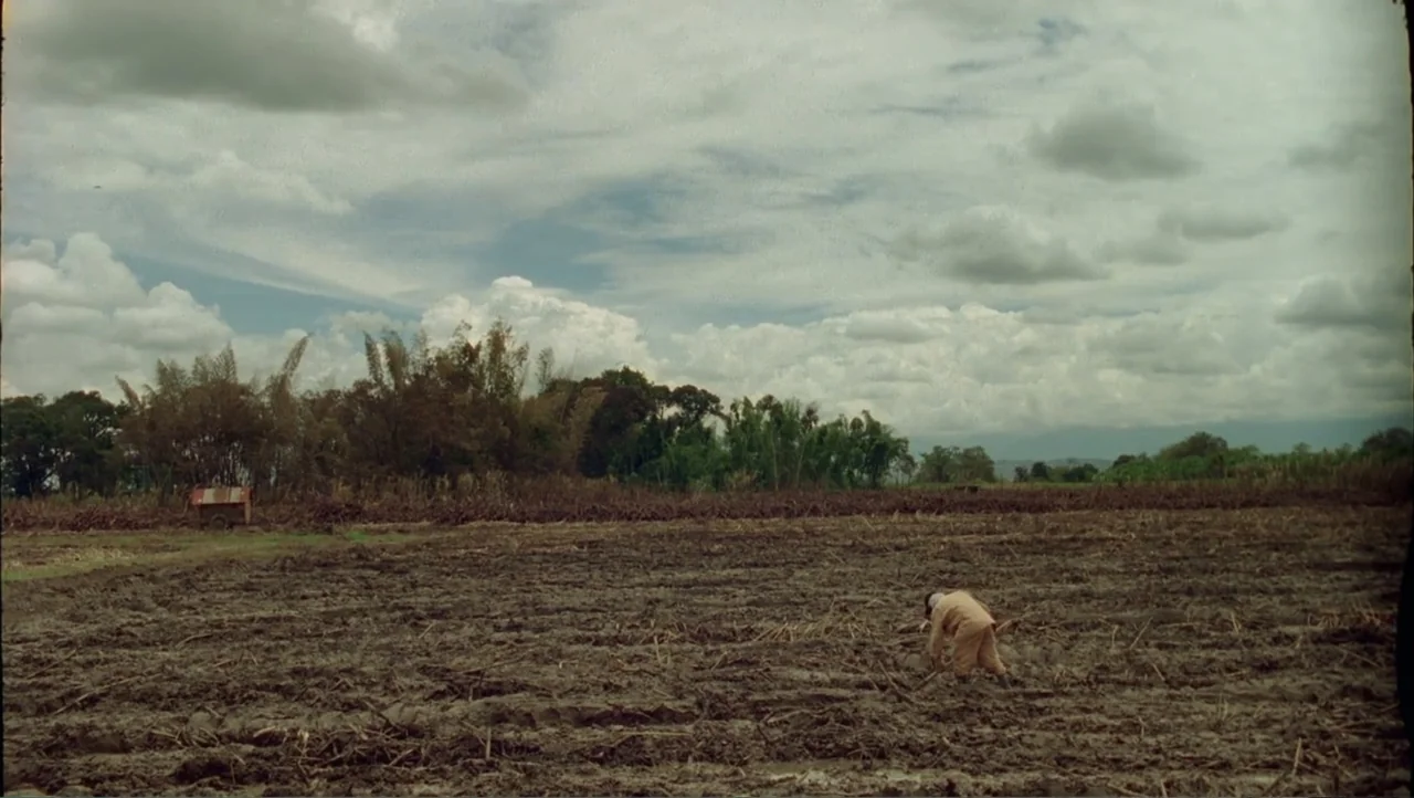 Cut (2000) movie still: wide — A wide, muddy field stretches toward a line of trees under a cloudy sky. A person in tan clothing stands in the…