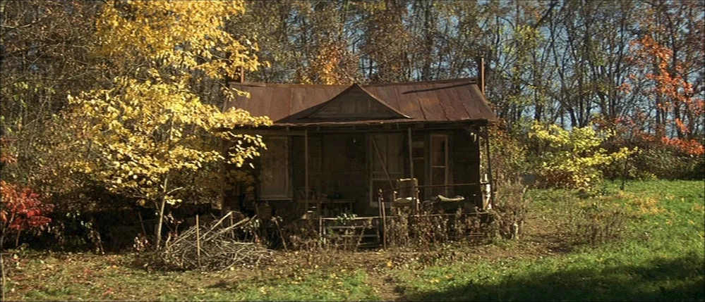 The Straight Story (1999) movie still: wide — A small weathered cabin with a rusted metal roof sits surrounded by deciduous trees. Dead branches and…