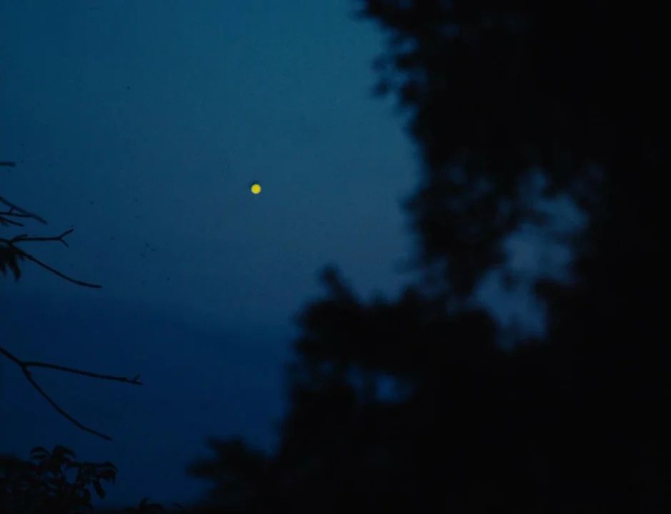 American Honey (2016) movie still: establishing — A dark blue night sky serves as the backdrop behind silhouetted tree branches. A single bright…