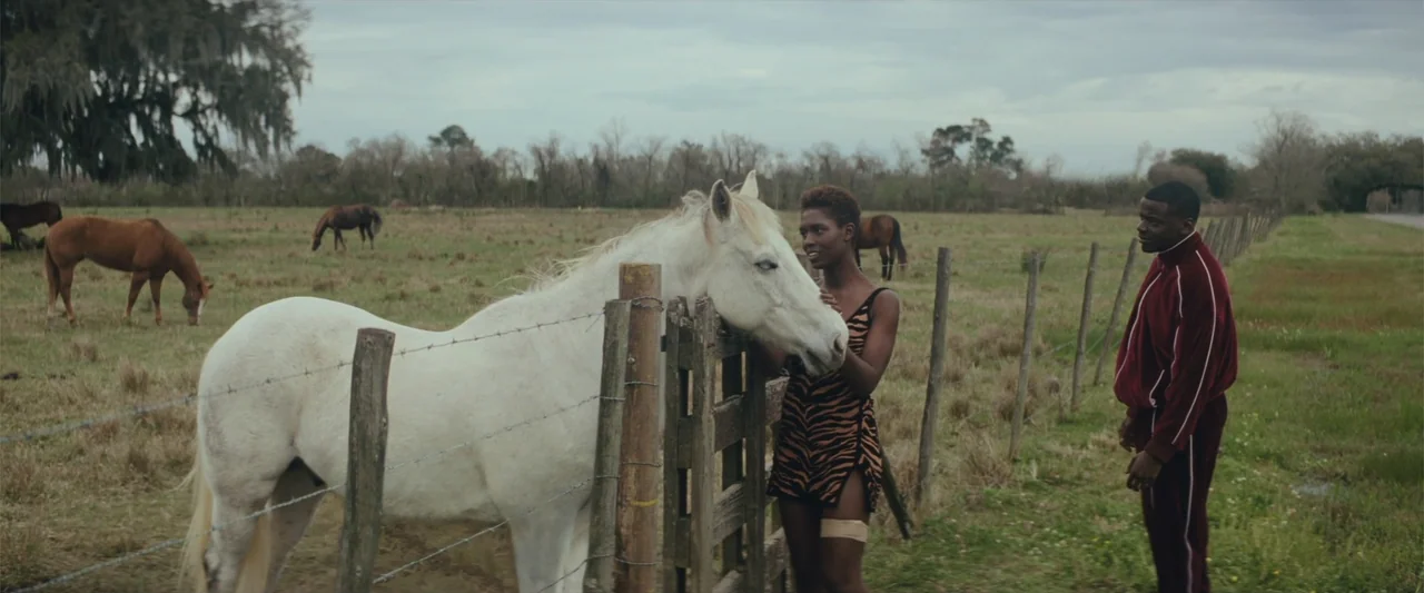 Queen & Slim (2019) movie still: medium — A fenced rural pasture under an overcast sky with multiple horses grazing. A woman interacts with a white…