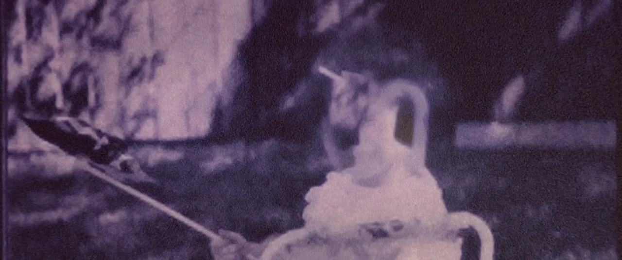 Skinamarink (2022) movie still: medium — A blurry unicorn stands in a dark field with high film grain. The mythical creature is oriented in profile…