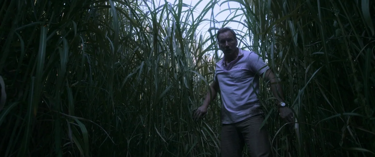 In The Tall Grass (2019) movie still: medium — A man stands surrounded by a dense field of tall green grass stalks. He moves cautiously through the…