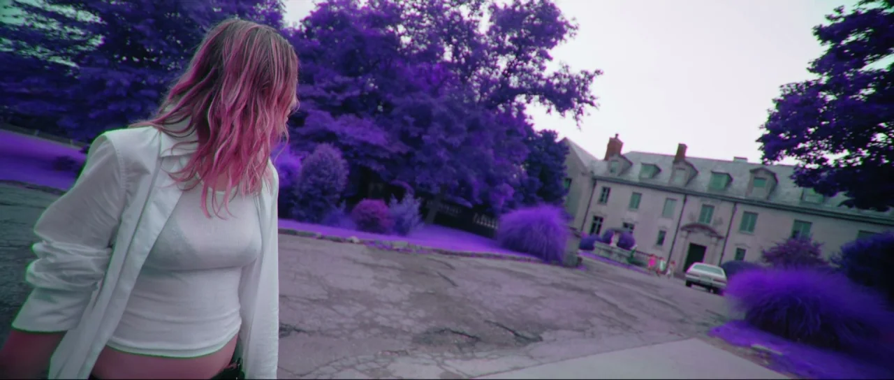 Braid (2018) movie still: medium — A stone mansion sits at the end of a paved driveway lined with purple foliage. A young woman stands in the…