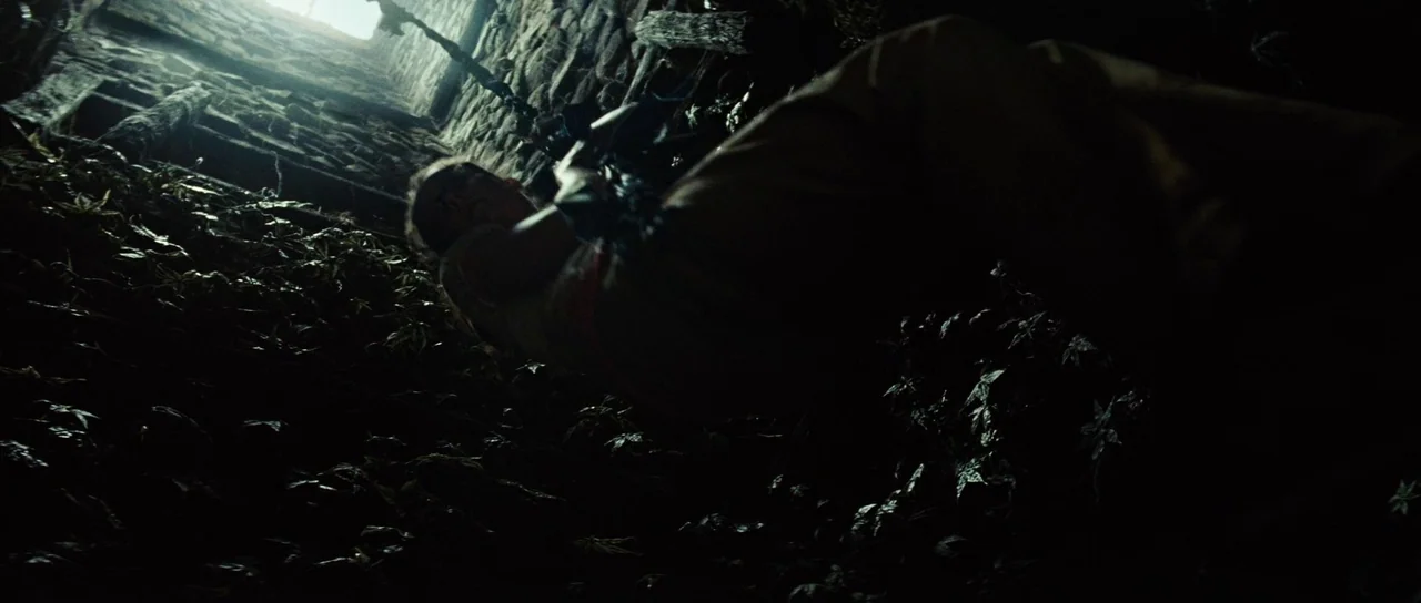 The Ruins (2008) movie still: medium — A dark stone well interior features climbing vines and rough masonry walls. A woman ascends toward a bright…