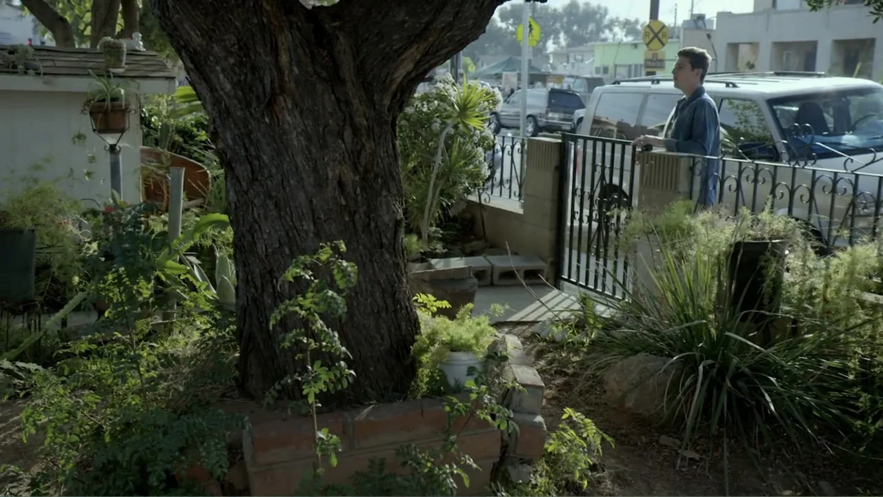 Loco Love (2003) movie still: medium — A residential front yard features a large mature tree surrounded by various potted plants. A young man stands…