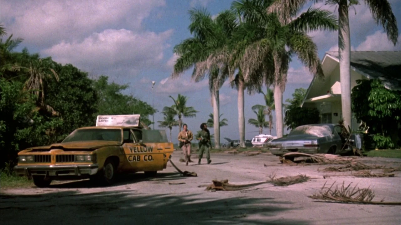 Day of the Dead (1985) movie still: wide — A suburban road in Florida is littered with palm fronds and abandoned vehicles. Two men walk along the…