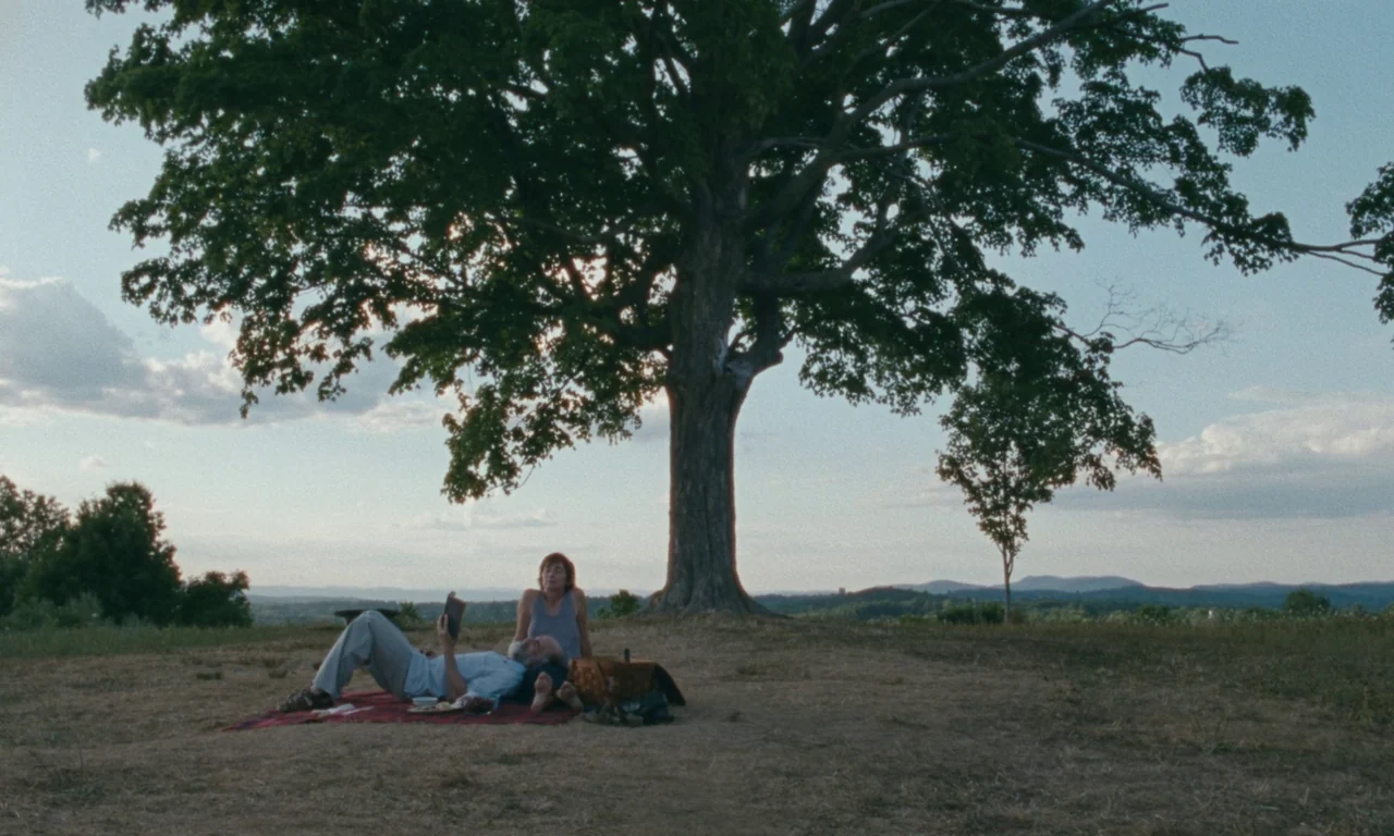 Janet Planet (2023) movie still: wide — A couple sits on a picnic blanket under a large tree on a grassy hill. The background features distant…