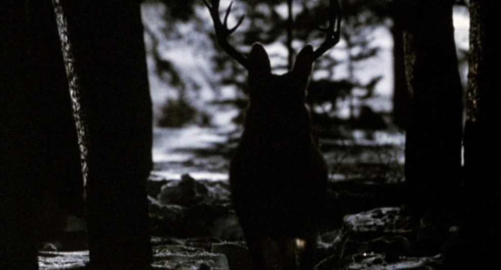 The Indian Runner (1991) movie still: medium — A dense patch of trees framing a bright, open clearing in the distance. A large deer stands between…