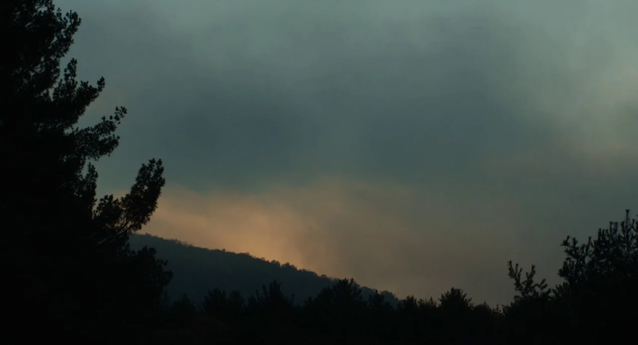 The Miseducation of Cameron Post (2018) movie still: establishing — A dark, overcast sky hangs above the silhouetted ridge of a pine forest. Faint…