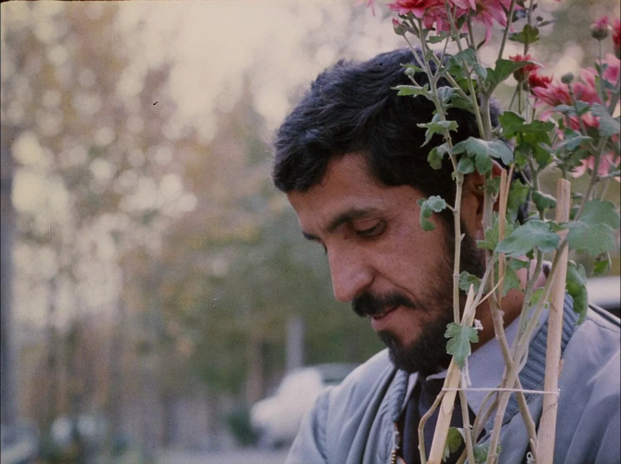 Close-Up (1990) movie still: medium — An outdoor area with blurred trees in the background during daylight hours. A man with a dark beard holds a…