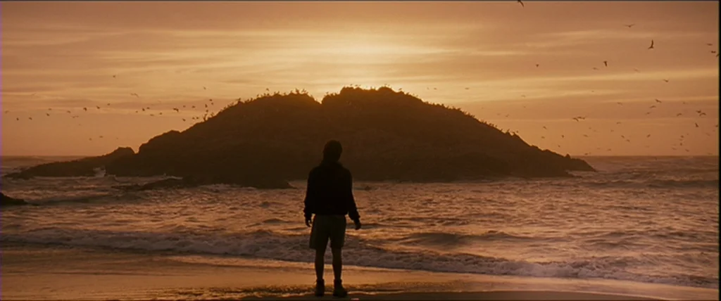 Into the Wild (2007) movie still: fullbody — A sandy beach meets the ocean at sunset with a prominent dark rocky island. A man stands at the water's…