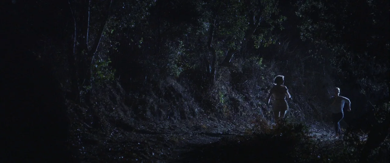 Always Shine (2016) movie still: wide — A dark, narrow dirt path winds through dense, shadowy trees at night. Two figures run away from the camera…
