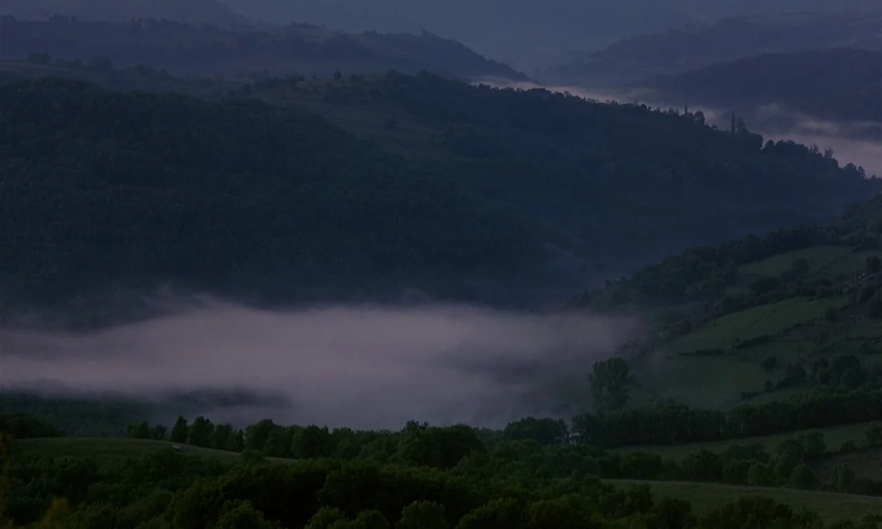 Microcosmos (1996) movie still: establishing — A vast valley landscape features rolling hills covered in dark, dense forests. Low-lying fog clings…
