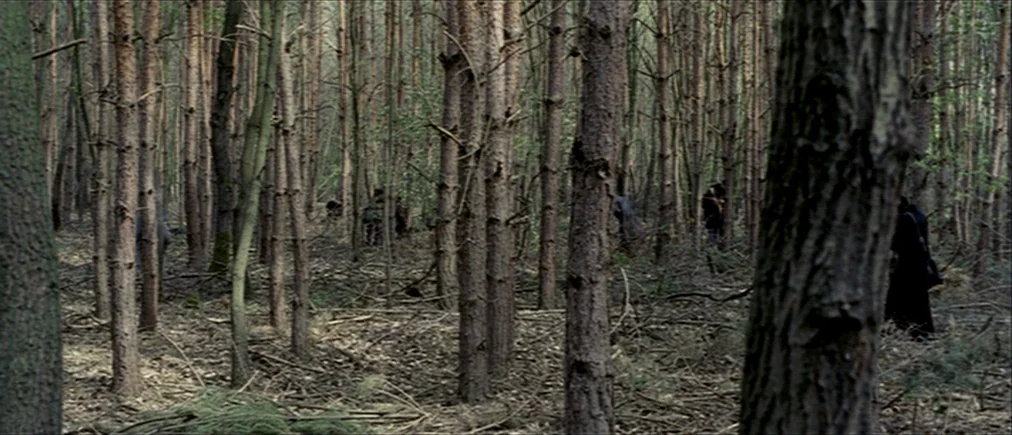 Time Of The Wolf (2003) movie still: wide — A dense pine forest with thin trunks and a floor covered in fallen twigs. Several indistinct figures in…