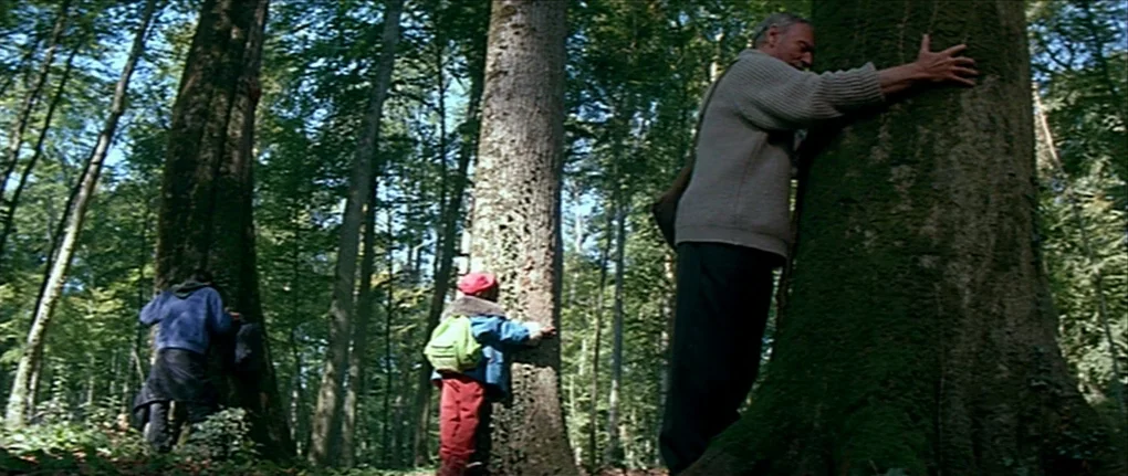 IP5 (1992) movie still: wide — A dense woodland area with thick, moss-covered tree trunks filling the frame. Three people stand among the trees,…