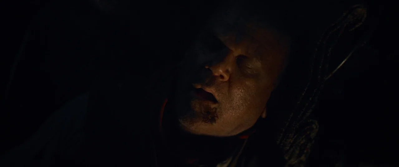 The Sisters Brothers (2018) movie still: closeup — A dark vehicle interior with low-key lighting focused on a man. A small spider crawls on the…