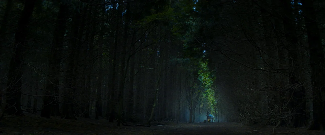 Unwelcome (2022) movie still: wide — A dense coniferous forest features tall dark tree trunks lining a dirt path. A small bright opening in the…