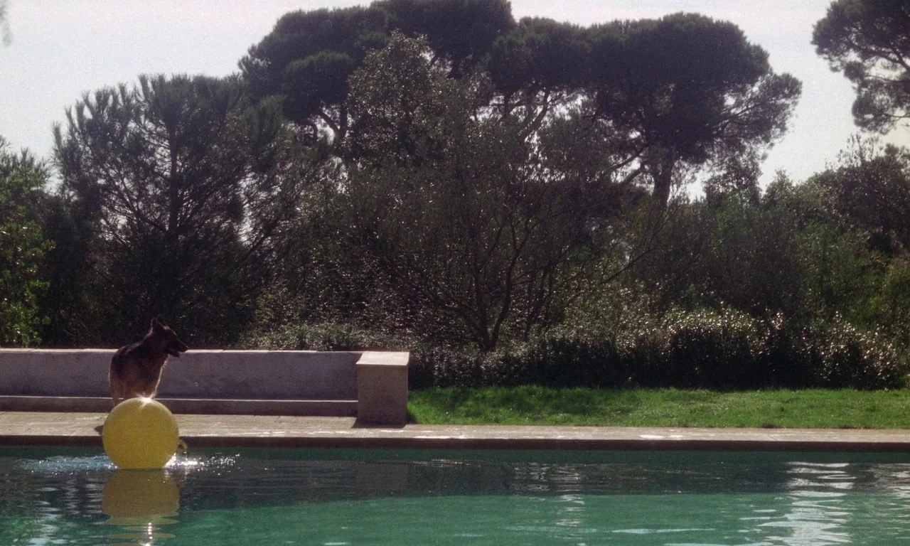The Margin (1976) movie still: wide — A sunny outdoor area features a swimming pool bordered by a stone ledge. A German shepherd dog watches a large…