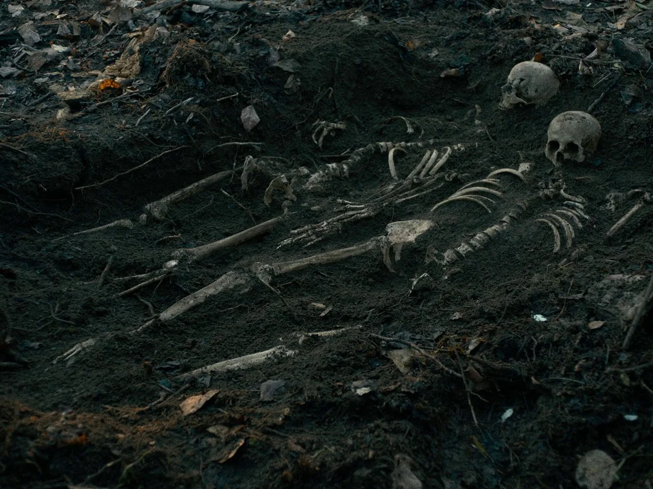 First Cow (2019) movie still: wide — A shallow, muddy grave contains the exposed skeletal remains of two human individuals. Dirt, dried leaves, and…