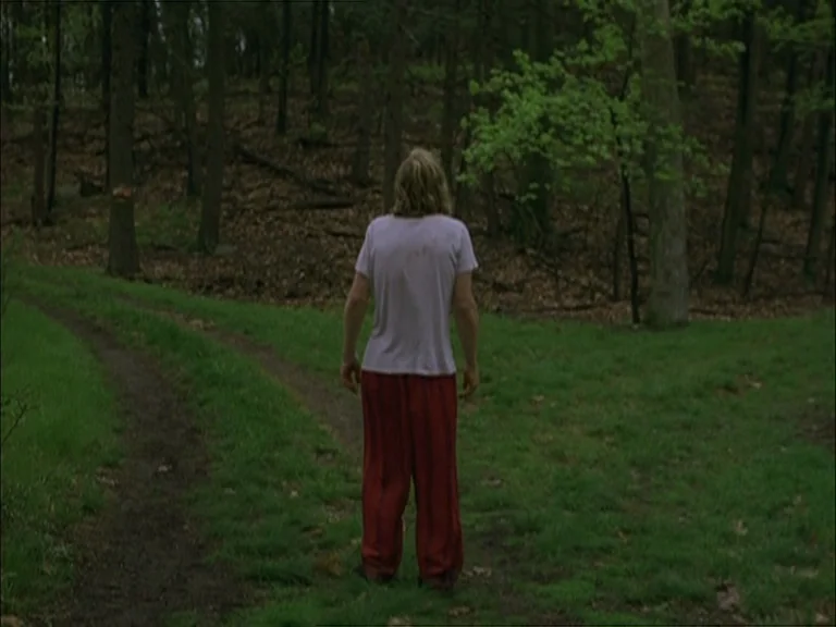Last Days (2005) movie still: fullbody — A split dirt path winds through a dense thicket of trees and grass. A person stands with their back to the…