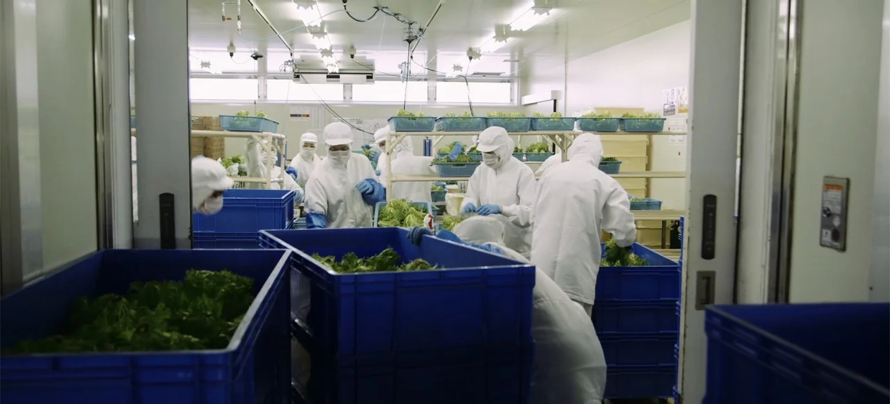 10 Billion: What's On Your Plate (2015) movie still: medium — A sterile industrial food packing facility features rows of metal tables and blue…