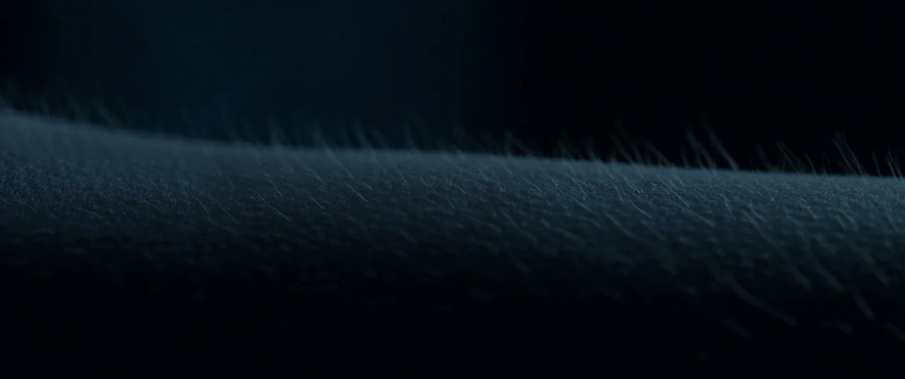 In The Tall Grass (2019) movie still: closeup — A dark, extreme closeup shot shows a portion of human skin with fine hair. Raised goosebumps are…