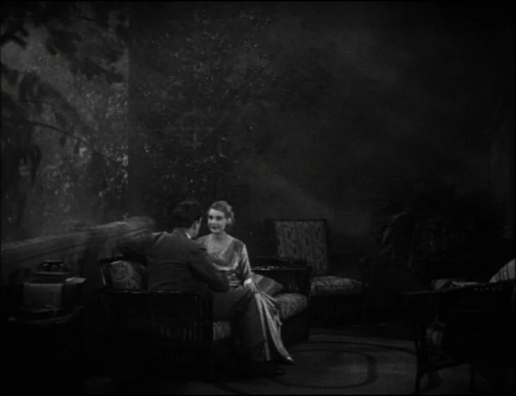 Dracula (1931) movie still: medium — A dark, sparsely furnished sunroom contains wicker chairs and a potted plant in shade. A man and a woman sit…