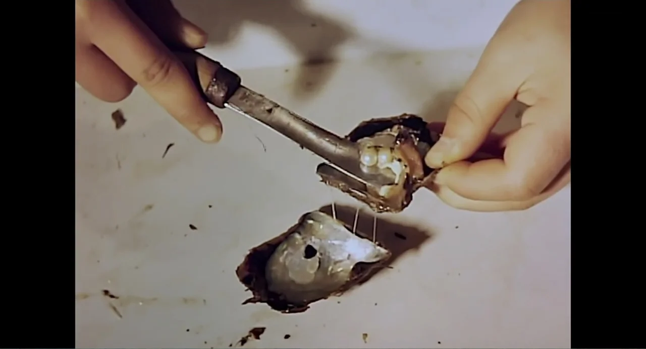 Free Chol Soo Lee (2022) movie still: closeup — A clean white surface holds an open oyster shell showing several small pearls. Two human hands use a…