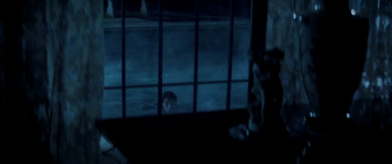 La Llorona (2019) movie still: wide — A dark indoor space overlooks an outdoor area through a window grid. A woman's face is partially visible…