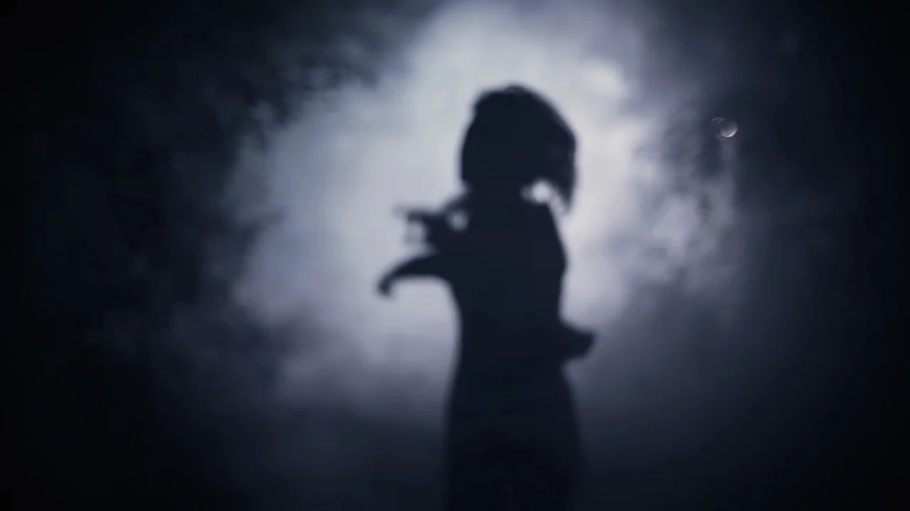 Still Life (2013) movie still: medium — A dark, silhouetted human figure stands centrally amidst thick smoke or fog in woods. The person keeps their…