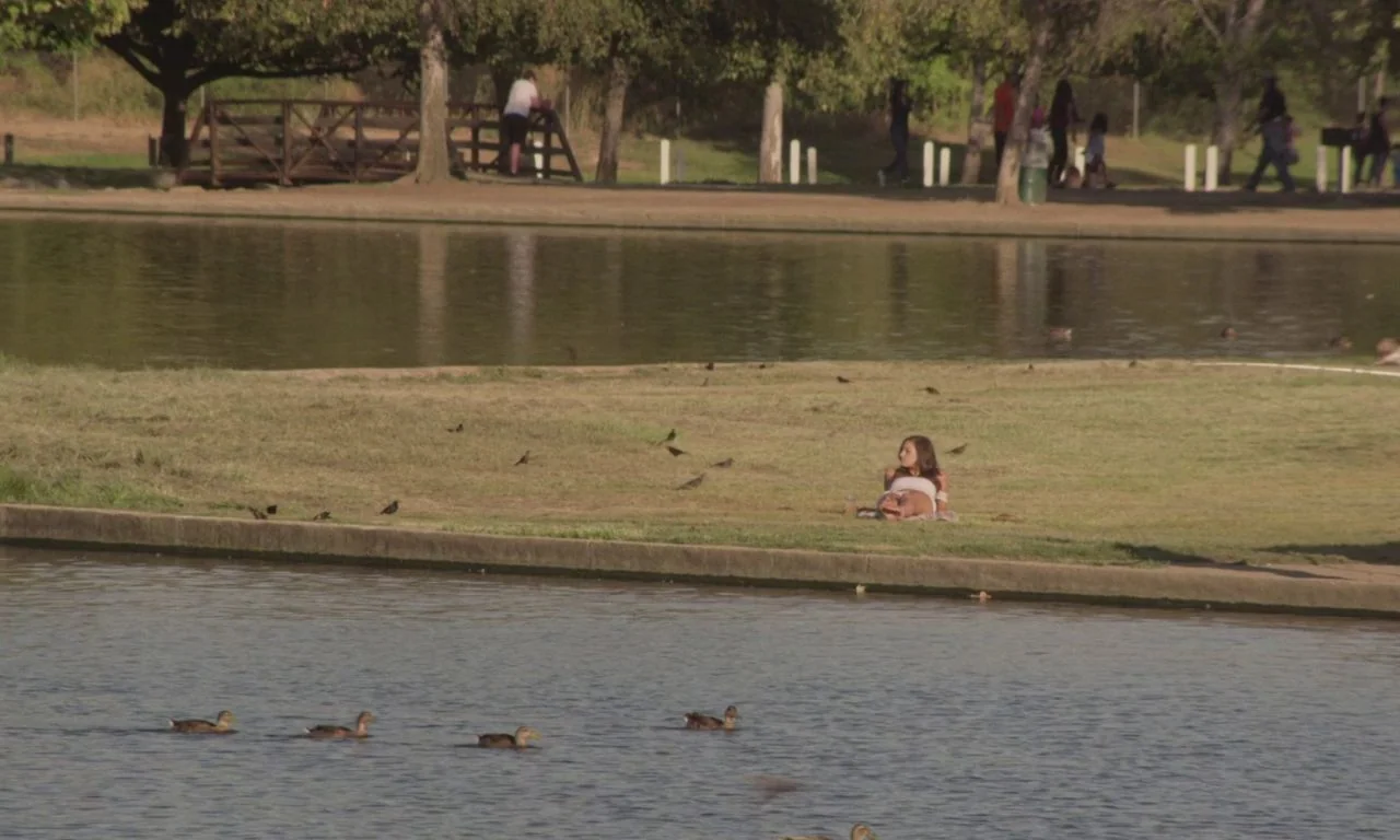 Ham on Rye (2019) movie still: wide — A park with a pond in the foreground and a grassy bank beyond. A woman reclines on the grass while ducks swim…