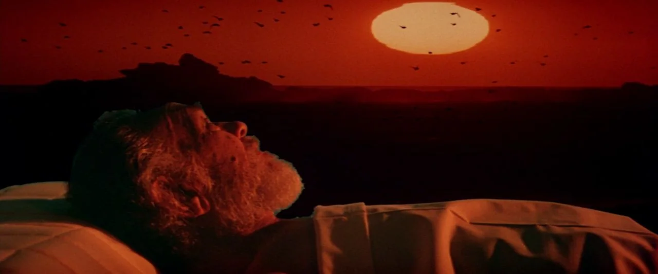Soylent Green (1973) movie still: medium — An elderly man lies in a bed against a backdrop of a projected sunset. Many birds fly across the orange…