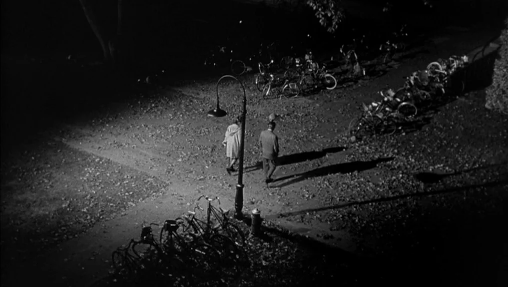 Who’s Afraid Of Virginia Woolf? (1966) movie still: wide — A dark, leaf-covered area at night illuminated by a single tall streetlamp. A man and a…