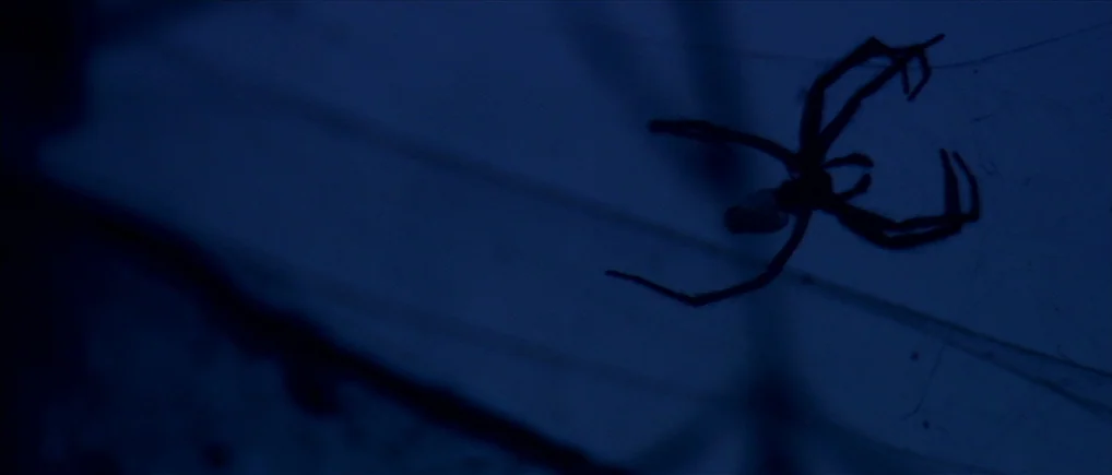 Session 9 (2001) movie still: closeup — A dark, blue-tinted exterior setting contains a delicate web structure in the foreground. A black spider…
