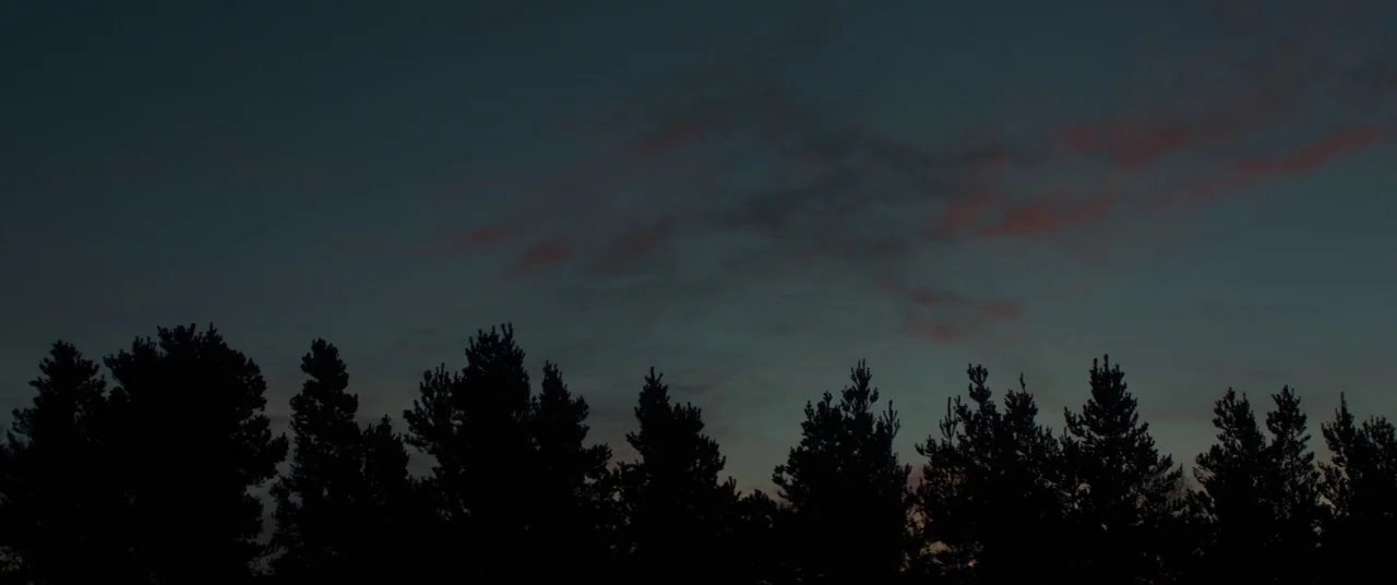 Never Grow Old (2019) movie still: establishing — A dense row of silhouetted evergreen trees stretches across the bottom of the frame. The sky above…