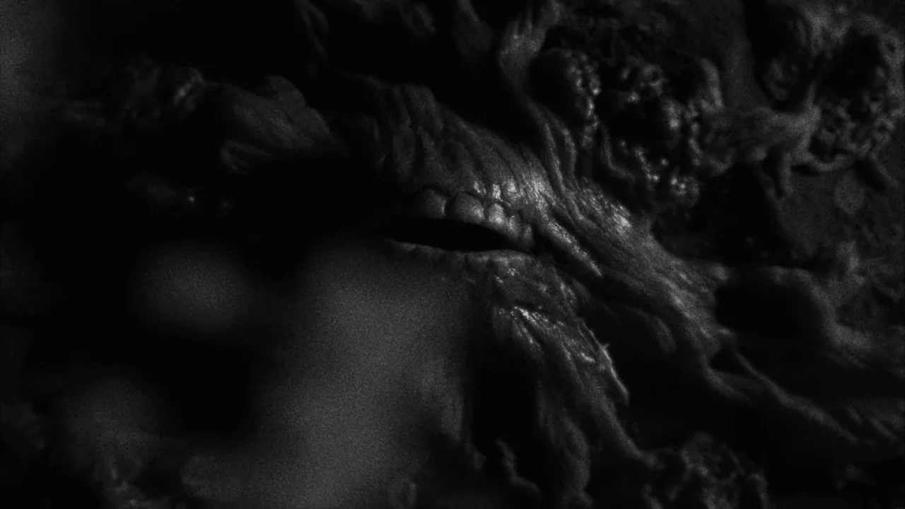 Divinity (2023) movie still: closeup — A close-up view of an organic, fleshy texture with deep ridges and grooves. The surface is heavily shadowed,…