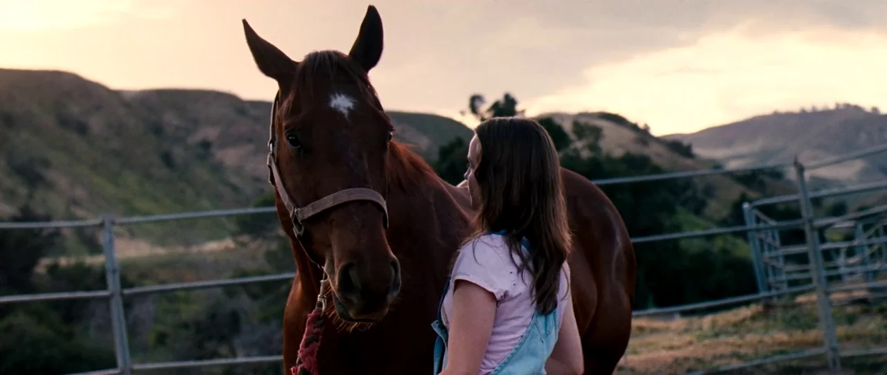 Little Birds (2011) movie still: medium — A brown horse stands in a fenced corral set against rolling hills at sunset. The young woman stands to the…
