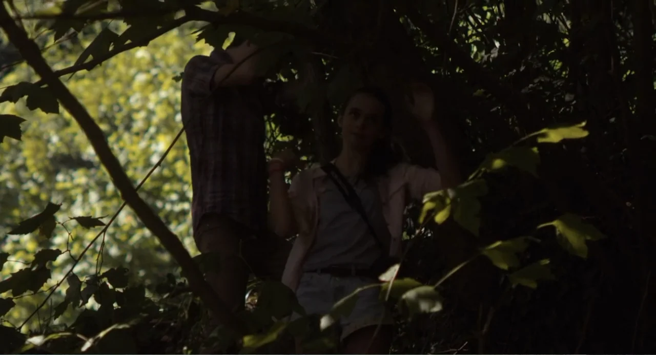 Newton's Third Law (2017) movie still: medium — A dense patch of trees with tangled branches and dappled sunlight filtering through leaves. A man…