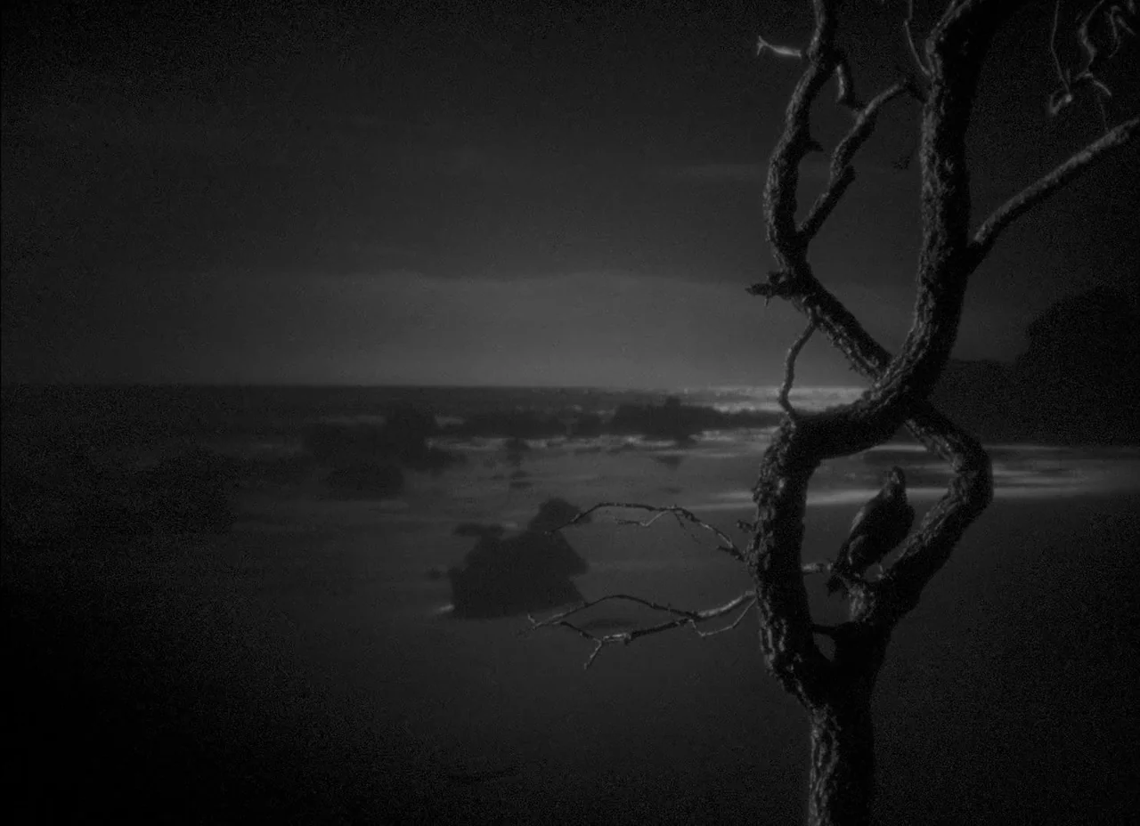 The Amazing Mr. X (1948) movie still: wide — A dark rocky beach stretches along a coastline under a dim moonlit sky. A single twisted, gnarled dead…