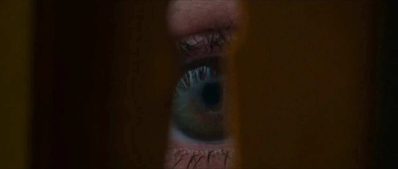 Inexorable (2021) movie still: closeup — A dark, out-of-focus wooden surface surrounds a narrow central vertical opening. A single human eye is…
