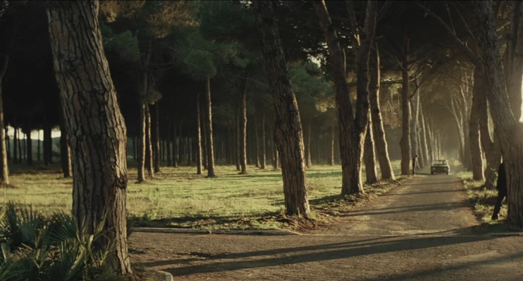 Todo Modo (1976) movie still: wide — A dirt path cuts through a dense pine forest with long evening shadows cast. A distant car drives toward the…