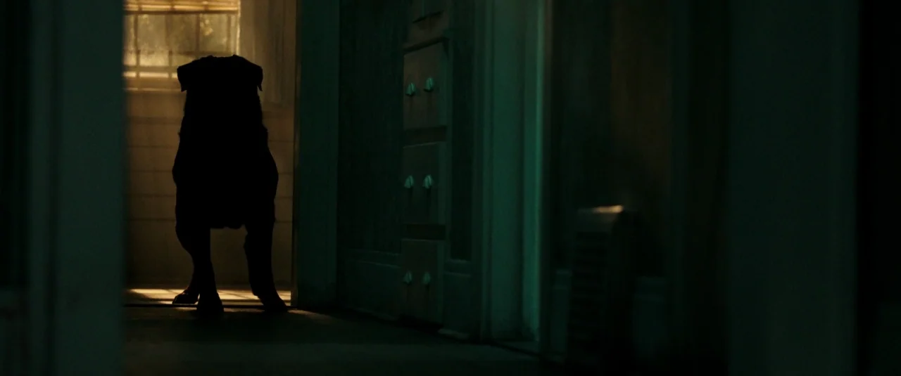 Don’t Breathe (2016) movie still: medium — A dark hallway connects rooms with pale green walls and a vintage cabinet. A large dog stands in a…