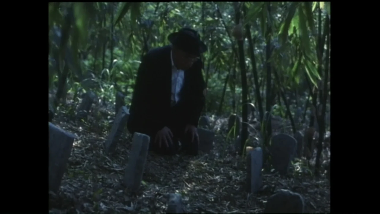 Flowers of Taipei: Taiwan New Cinema (2014) movie still: medium — A dense grove of trees surrounds rows of small simple stone burial markers. An…