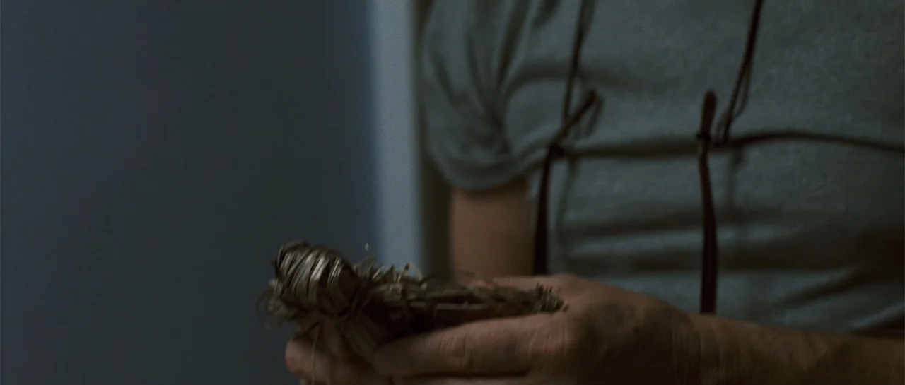 The New Daughter (2009) movie still: closeup — A close view of a person in a plain gray shirt holding a straw object. The subject's hands are…