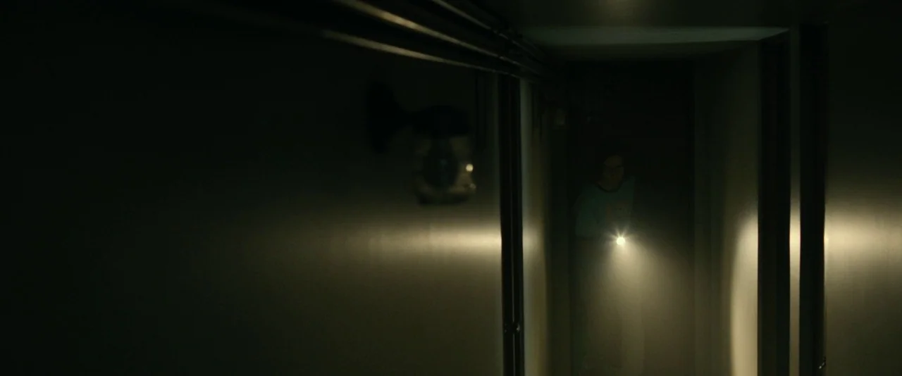 Brigsby Bear (2017) movie still: wide — A narrow residential hallway is shrouded in near-total darkness. A person stands at the end of the hall…